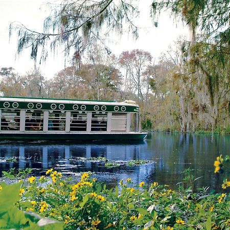 Howard Johnson By Wyndham Ocala Fl I-75 Extérieur photo